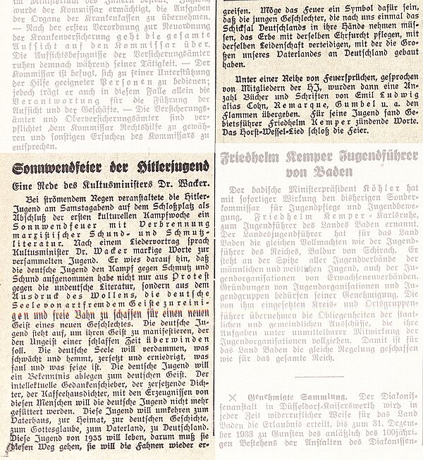 Artikel "Sonnwendfeier der Hitlerjugend", Badischer Beobachter vom 19. Juni 1933