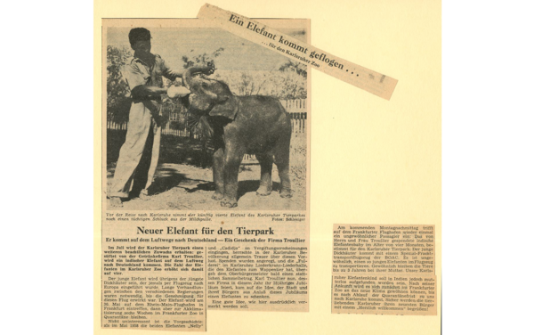 Zeitungsartikel "Neuer Elefant für den Tierpark"