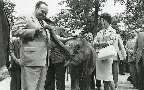 Oberbürgermeister Günther Klotz beim Füttern des Elefanten