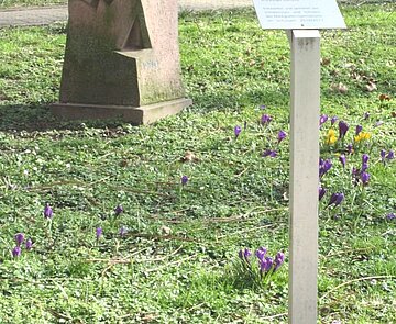 Ansicht des Mahnmals