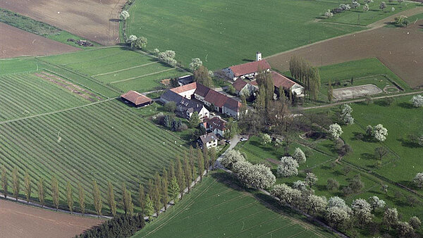 Der Batzenhof auf Hohenwettersbacher Gemarkung 1989, unten links die Zufahrt vom Thomashof durch die Anfang der 1960er Jahre angelegte Pappelallee, Stadtarchiv Karlsruhe 7/PS Berger 472