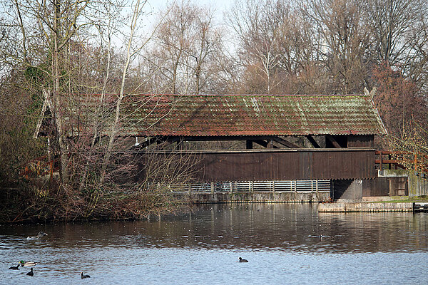 Holzbrücke in der Günther-Klotz-Anlage 2016